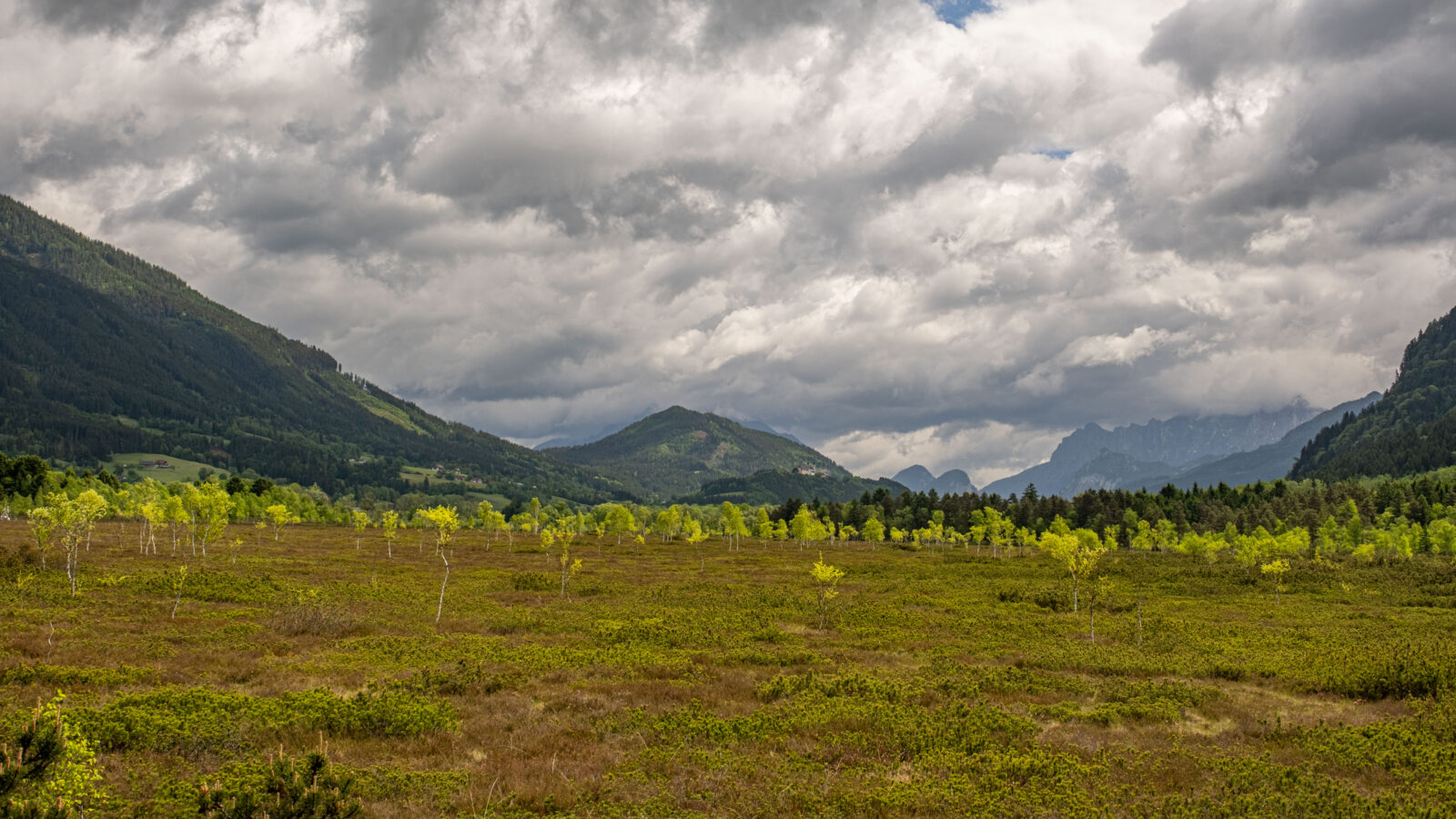 Drei Stunden durchs Hochmoor Ardning