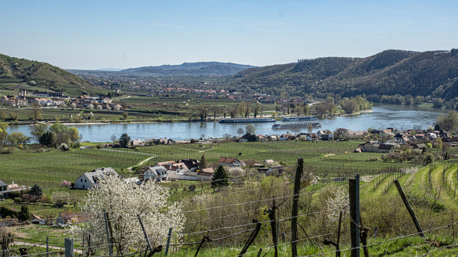 Mit dem Zug in die Wachau —die Marillen waren schneller