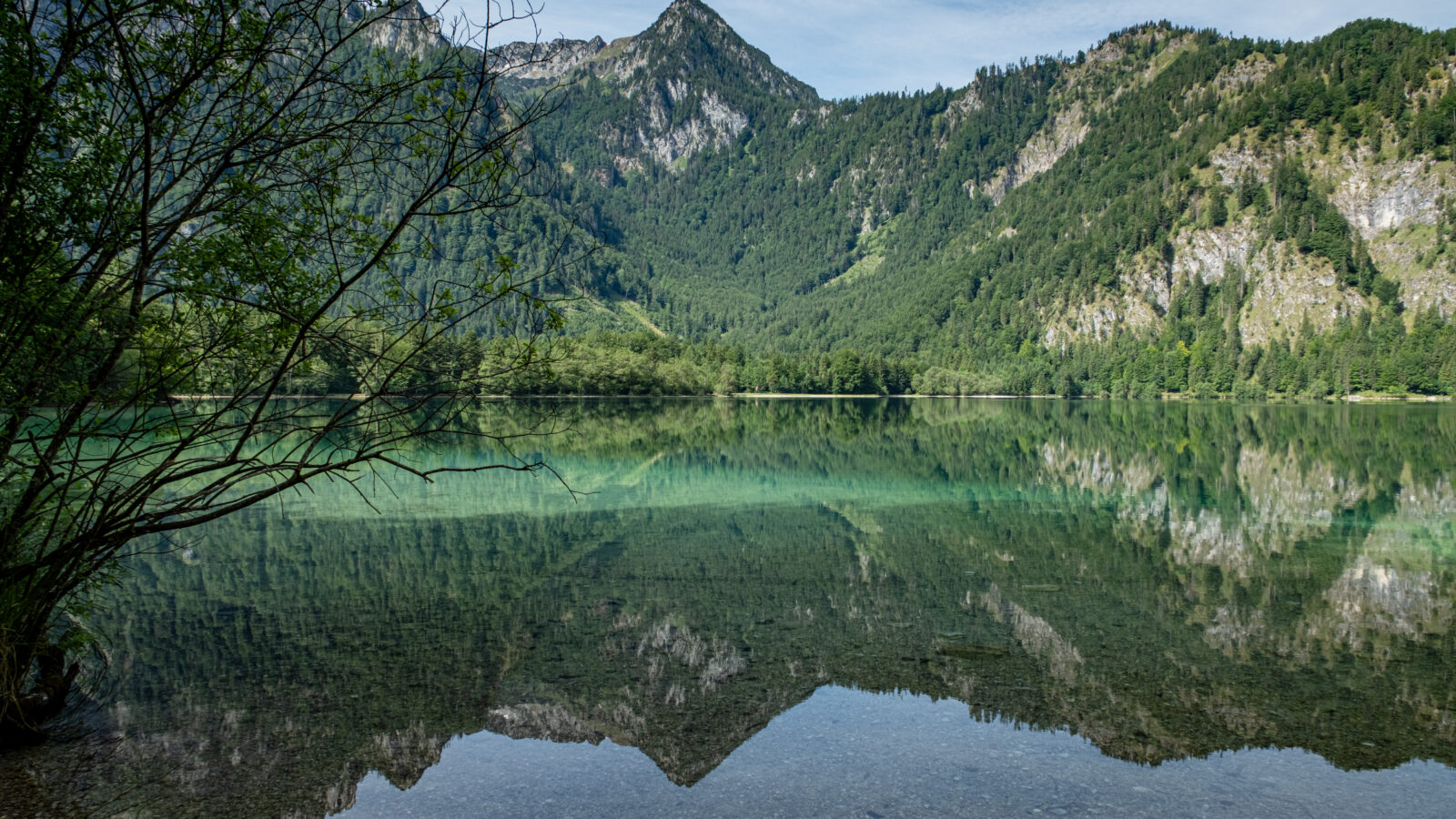 Wieder am Offensee – ein Naturjuwel in sattem Grün