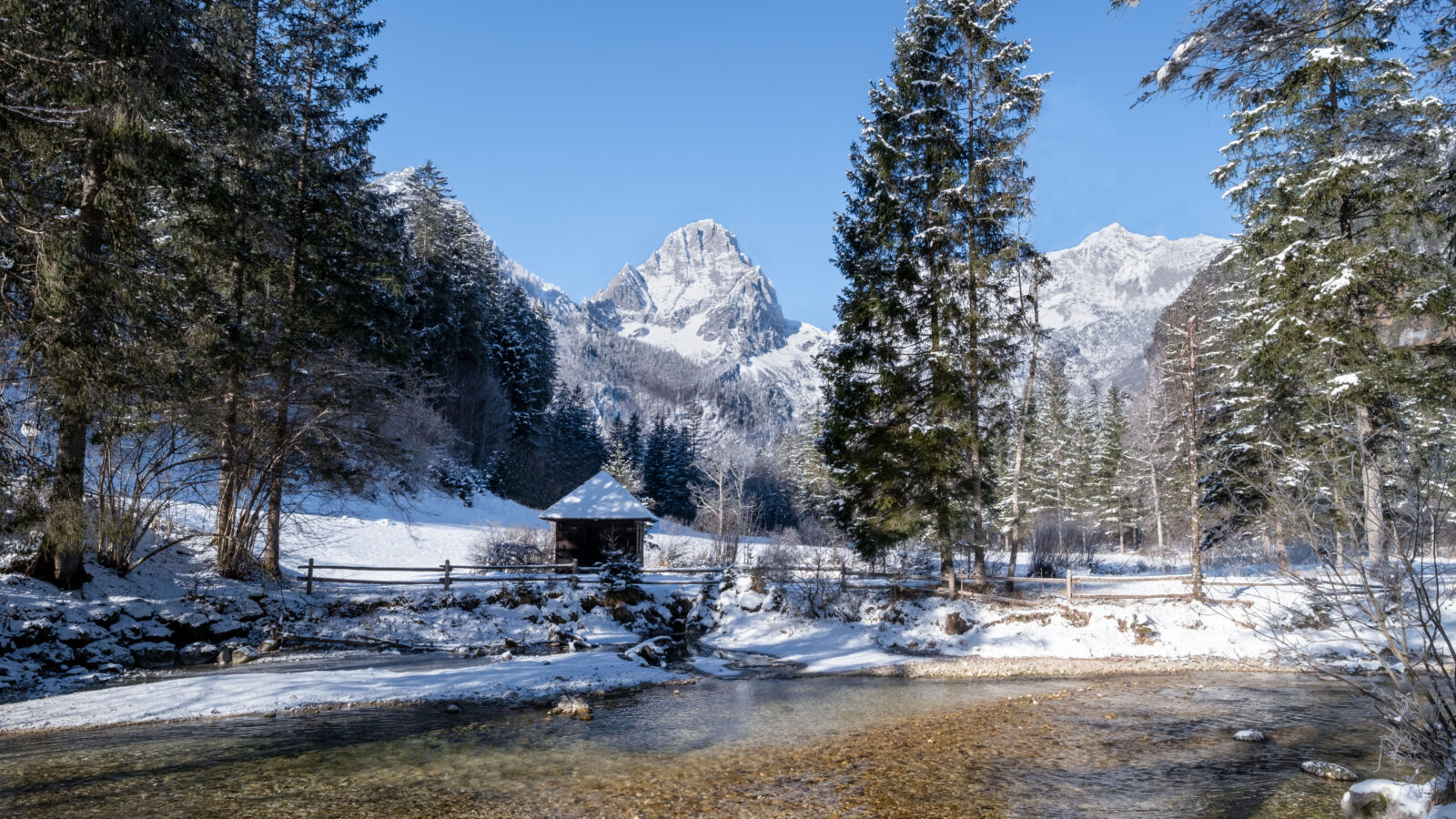 Schiederweiher im Winter — wenn alles still wird