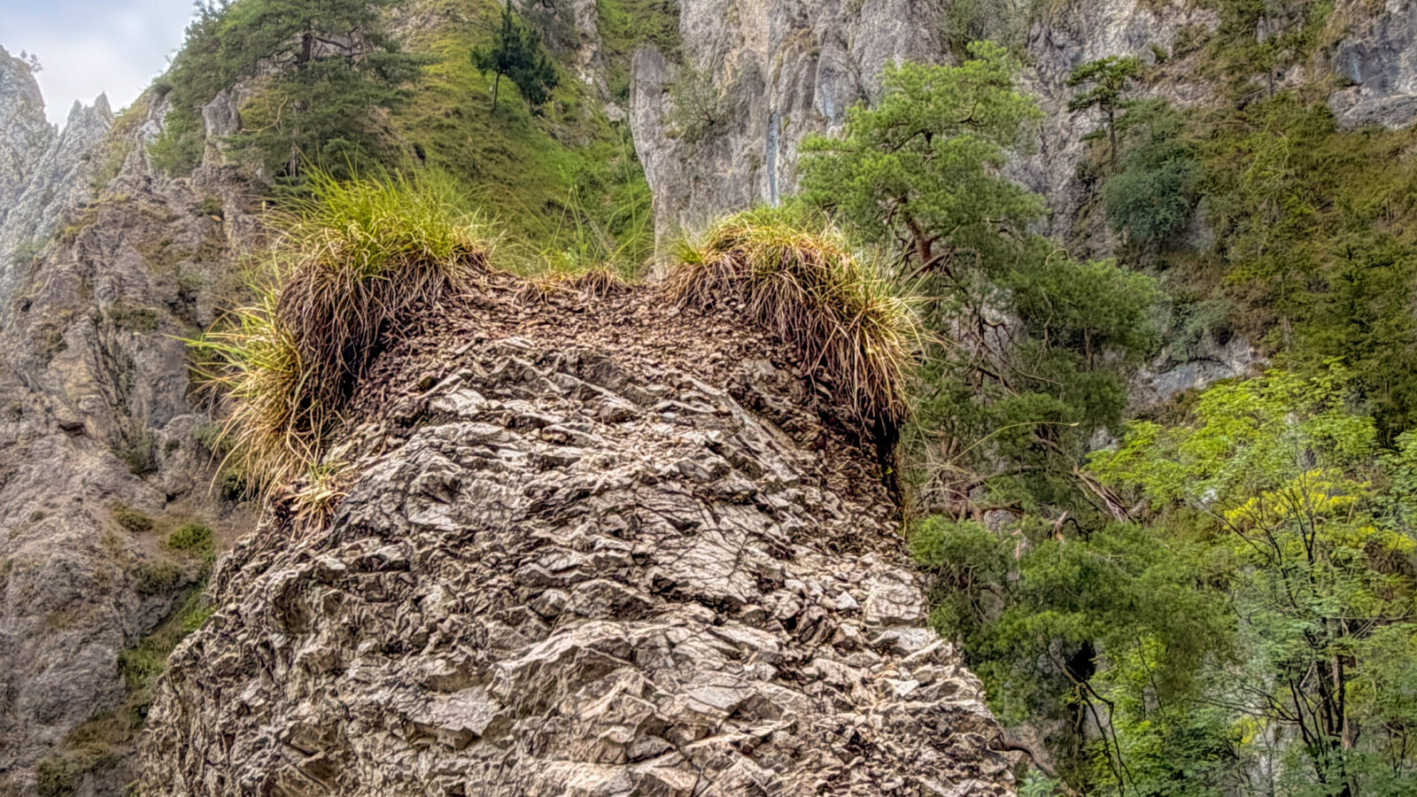 Kaltenbachwildnis — als ich eigentlich nur wandern wollte